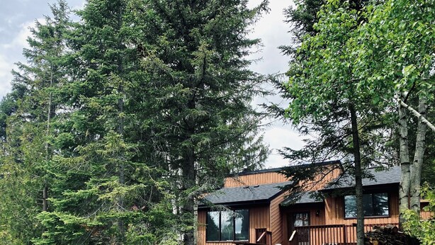 Une cabane dotée d’une terrasse, entourée d’une forêt dense et bordée d’un petit ruisseau.