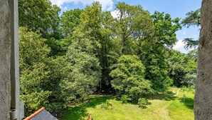 Ein üppiger Garten mit einer Holzbank und einem Picknicktisch, umgeben von dichten Bäumen.