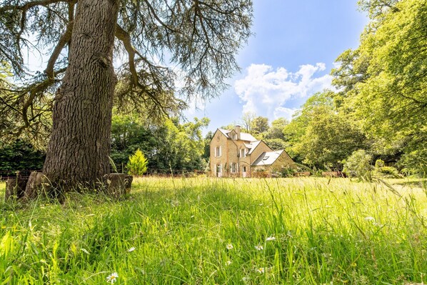 A house surrounded by a grassy field with a large tree in the foreground.