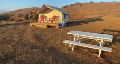 Morgan Hill Majestic Mountain Camp