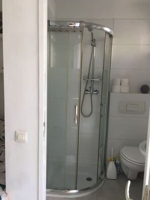Bathroom features a glass-enclosed shower with handheld showerhead and wall-mounted faucet, along with a toilet and storage.