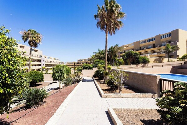 A hotel courtyard with a pool, palm trees, and a clear sky.