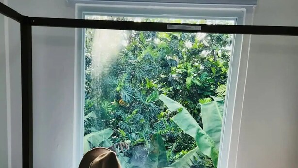Cama com edredom branco e janela com vista para o verde.