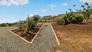 Un jardín con un sendero de grava, un árbol pequeño y un barril de madera.