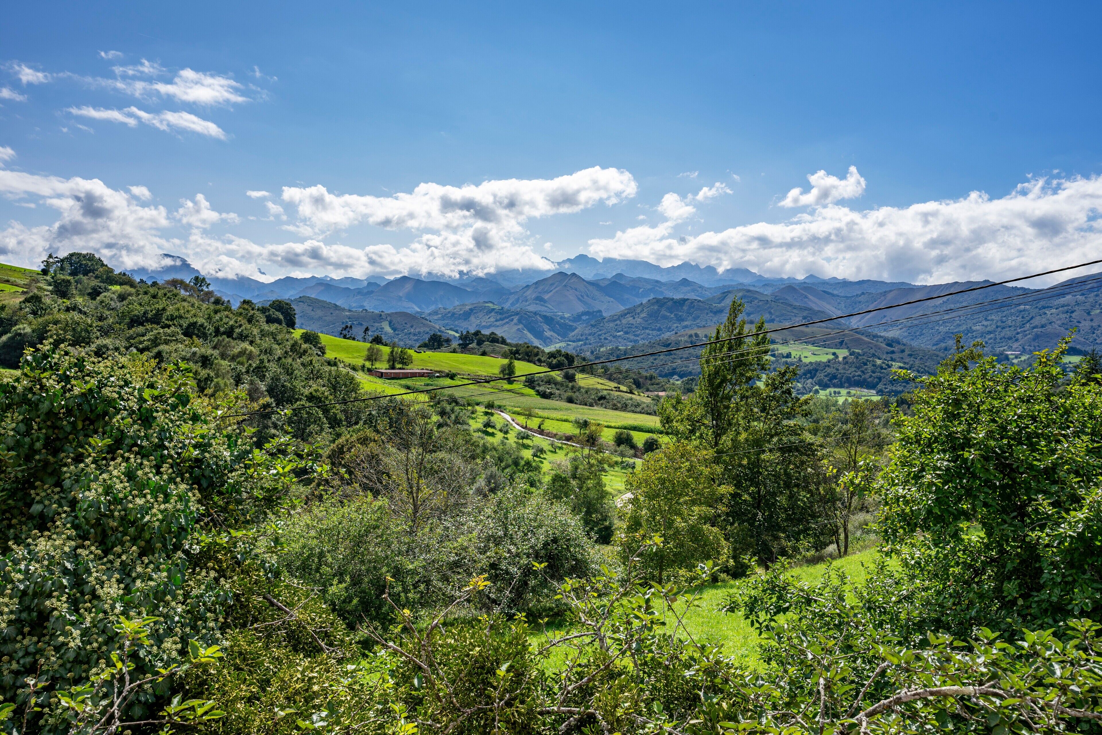 Paisatge de muntanyes amb camps verds i arbres.
