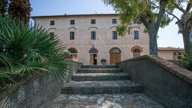 Un edificio con una escalera de piedra que lleva a una puerta de madera, rodeado de follaje.