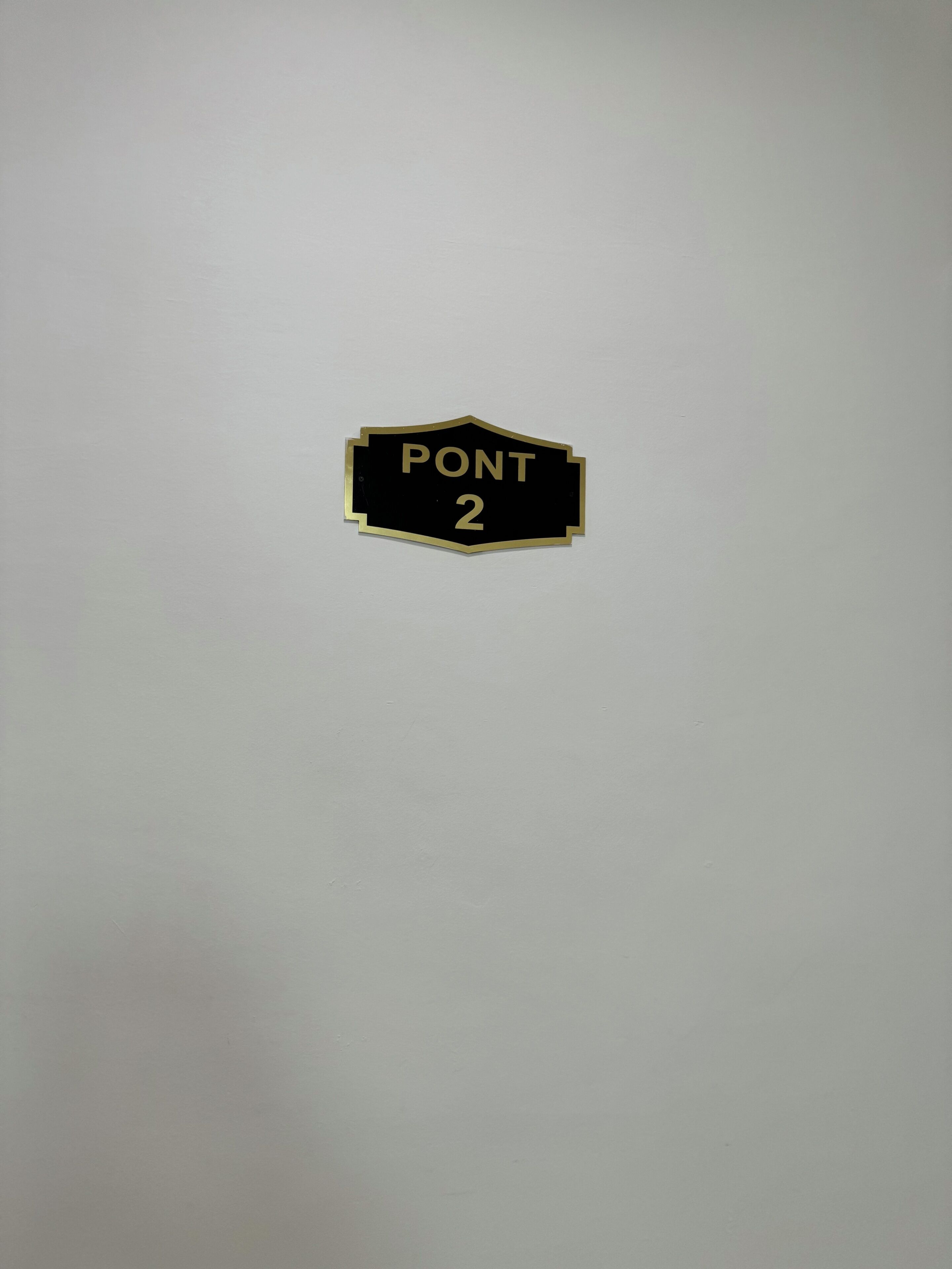 Un letrero con el texto 'PONT 2' sobre un fondo liso.