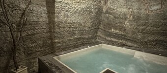 Room 'El Tordo' with Mountain View, Wi-Fi and Air Conditioning