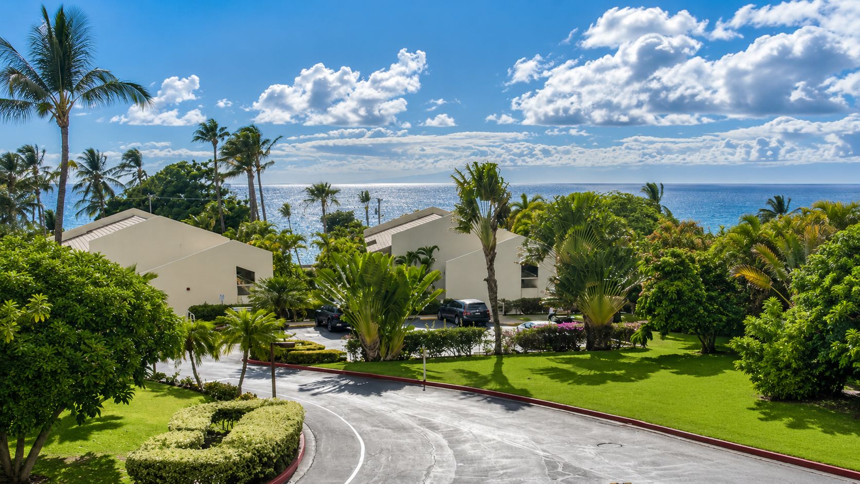 A resort with a curved driveway, palm trees, and a view of the ocean.