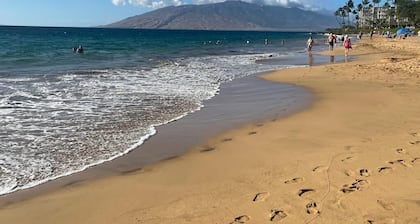 Cozy B&B in Enchanting Kihei-Wailea with AC, WiFi