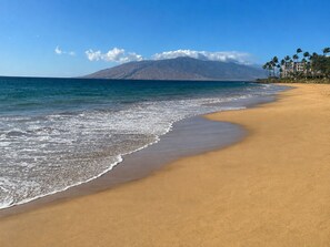 Une plage avec une montagne en arrière-plan, un ciel dégagé et une mer calme.