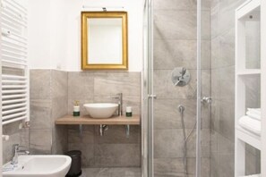 Shower, hair dryer, bidet, towels