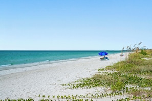 On the beach - 🌴BBC 214 - Gulf Front Condo - Pool & Beach are OPEN! (Belleair Beach)