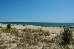 On the beach - Dewey Beach Oceanfront Pet Friendly Townhouse (Dewey Beach)