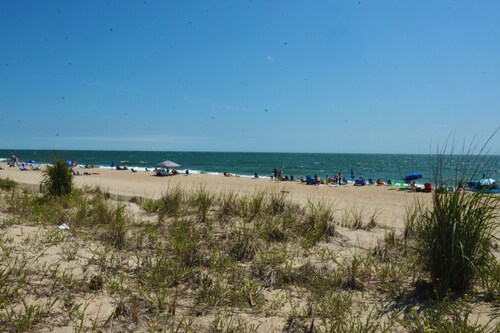 Dewey Beach Oceanfront Pet Friendly Townhouse