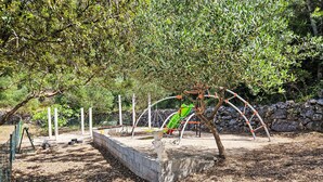 A playground with a swing set, climbing structures, and a slide, surrounded by trees and a stone wall.
