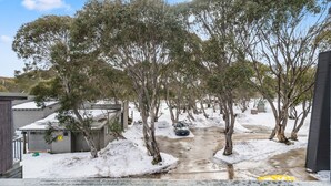 A residential area with snow-covered ground, trees, and a parked car. - Hangar - Dinner plain (Dinner Plain)