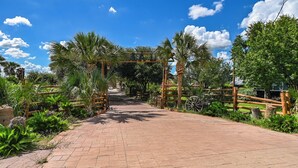 A paved pathway leading through a garden with palm trees and a wooden fence. - 3 bedroom cottage, peaceful and private, with pool, fitness, flowers and nature (Buda)