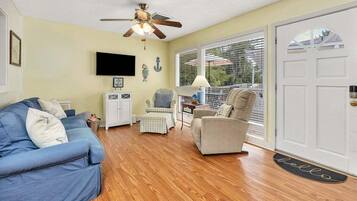 Télévision, cheminée