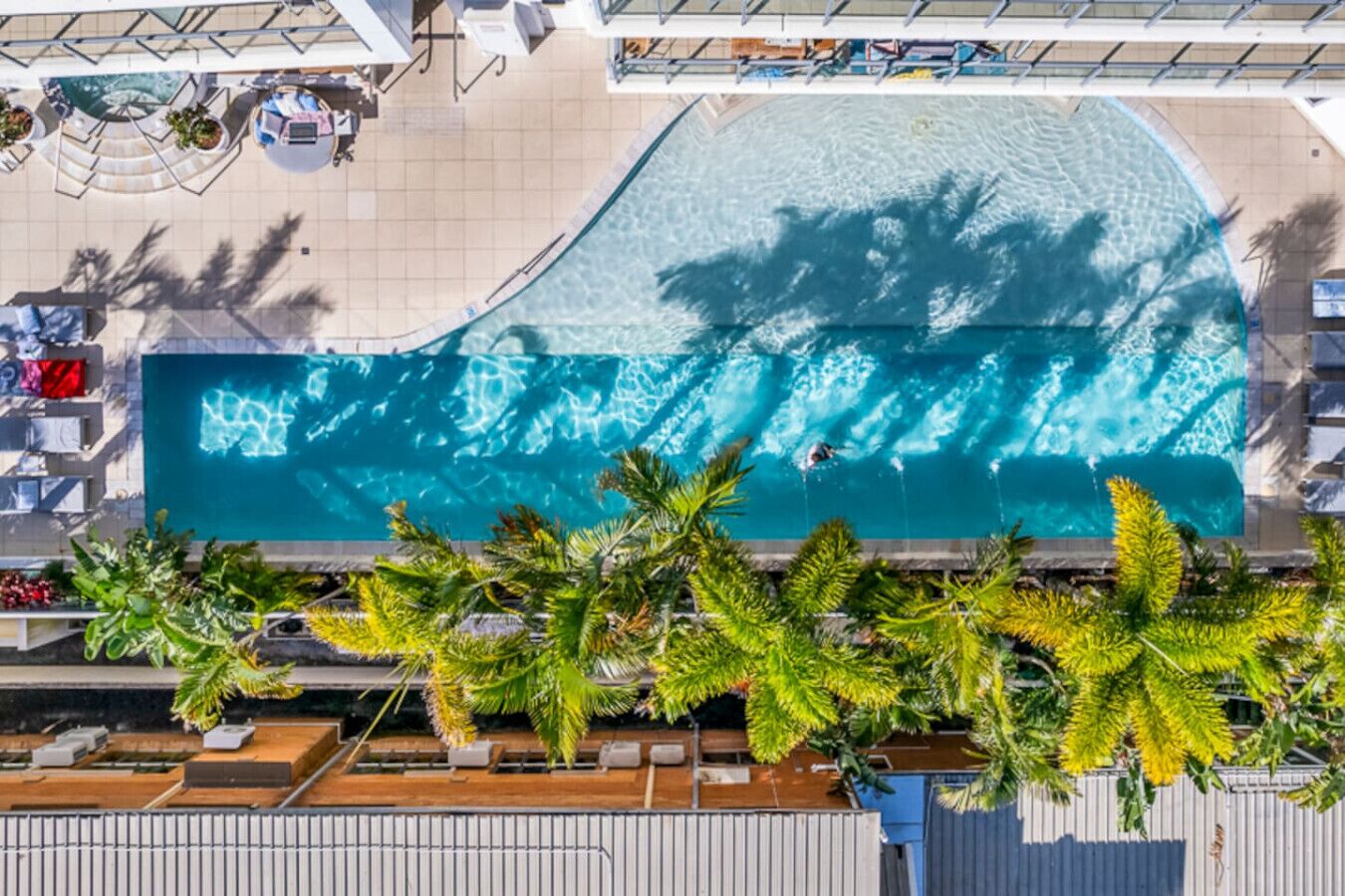 An aerial view of a swimming pool with a curved edge, surrounded by palm trees and lounge chairs.