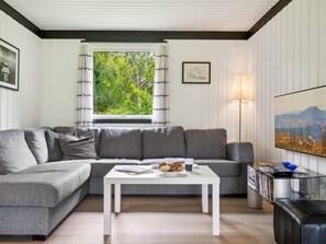 Fernseher, Kamin