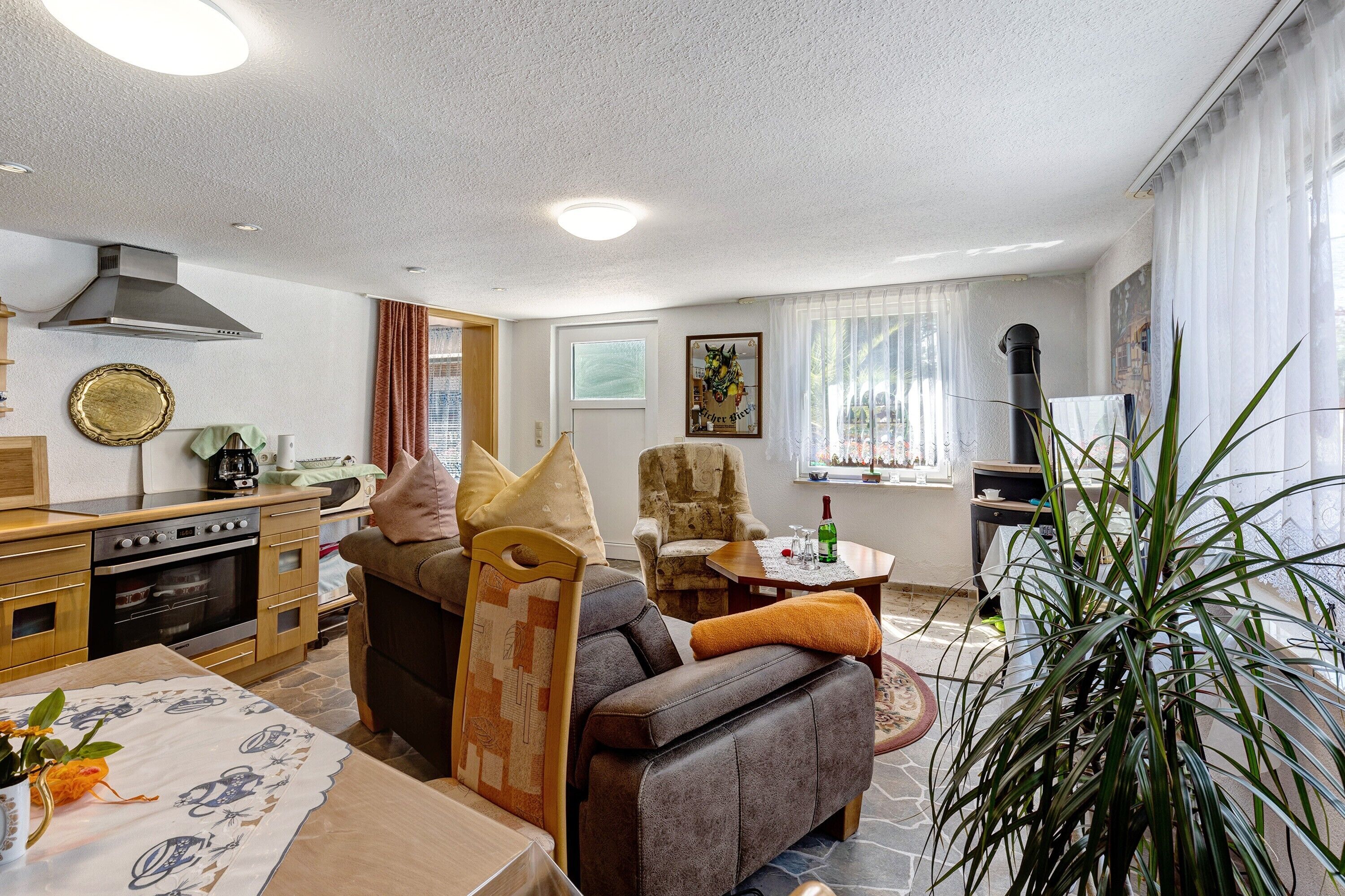 Ein Wohnzimmer mit Sofa, Esstisch, Küchenzeile und einer großen Pflanze.