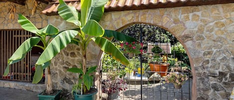 Terrain de lâhĂ©bergement