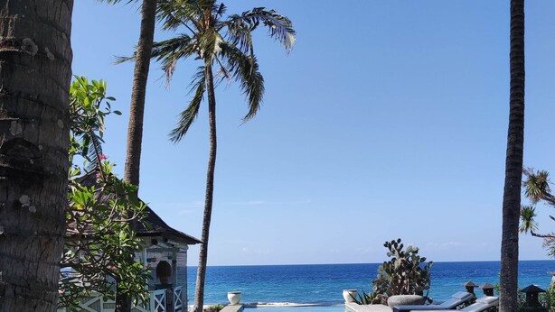 A clear blue pool with lounge chairs and palm trees, leading to the ocean.