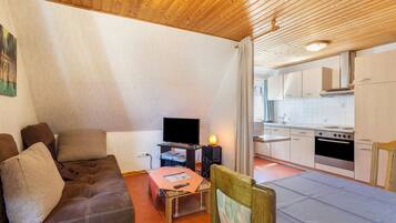 Fernseher, Stereoanlage