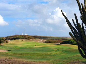 Ein Golfplatz mit einer Fahne, Kakteen und einem entfernten Turm.