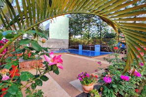 Szabadtéri medence