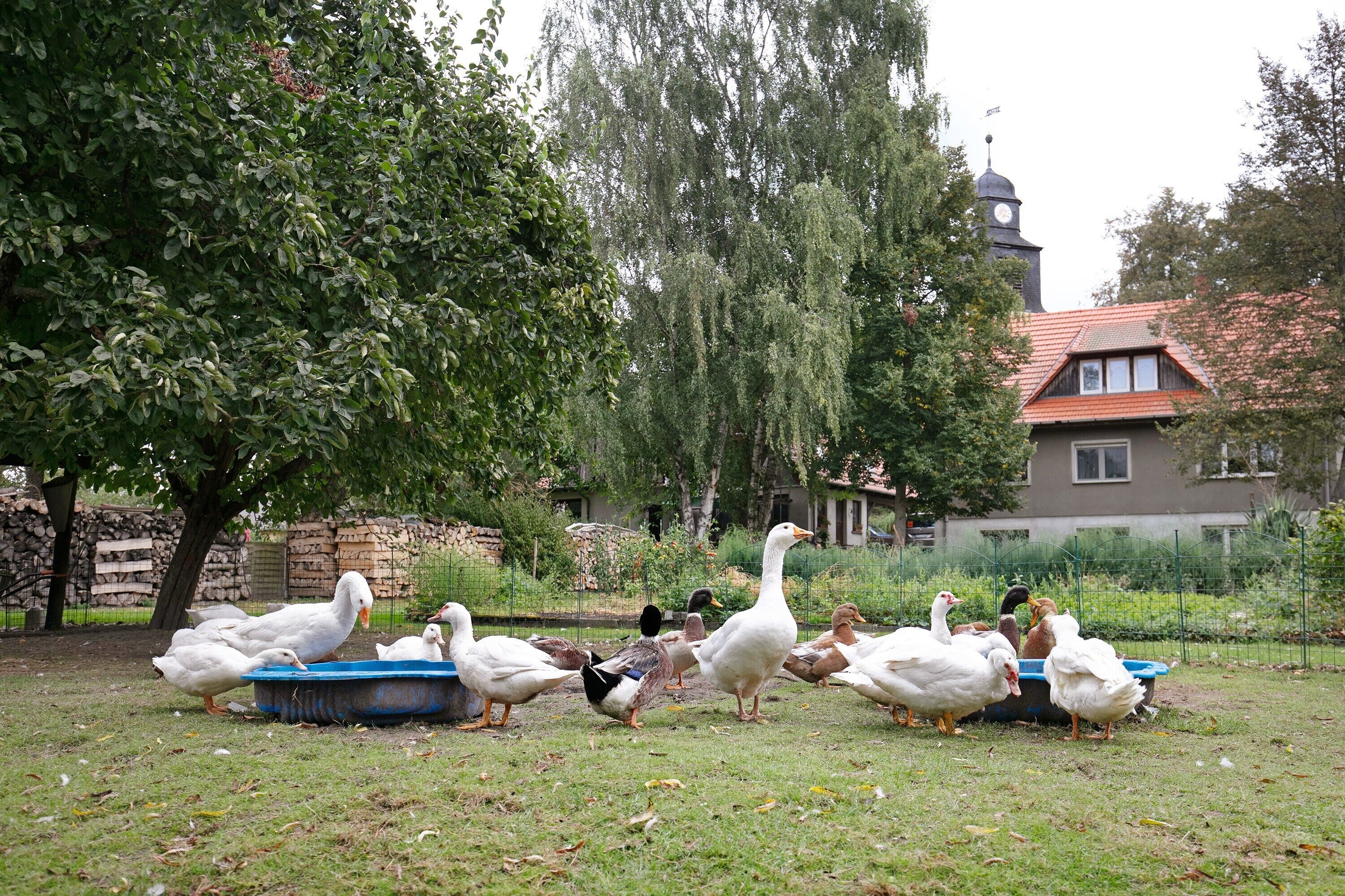 Unterkunftsgelände