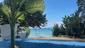 Une plante en pot aux larges feuilles, placée dans un pot blanc, sur un mur bleu, avec une vue sur la mer où l’on aperçoit des bateaux au loin.