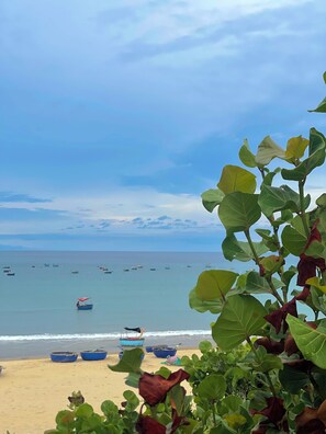 On the beach, white sand - San Hô Homestay (Phu Cat)