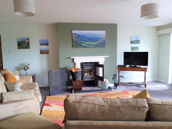 Smart TV, fireplace