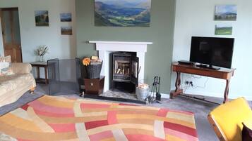 TV connectée, cheminée