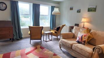 TV connectée, cheminée