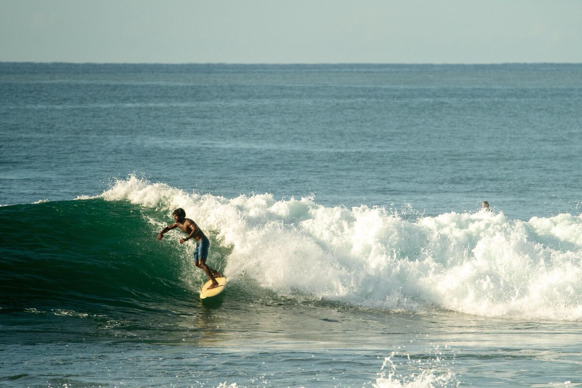 Image de profil de l’hôte