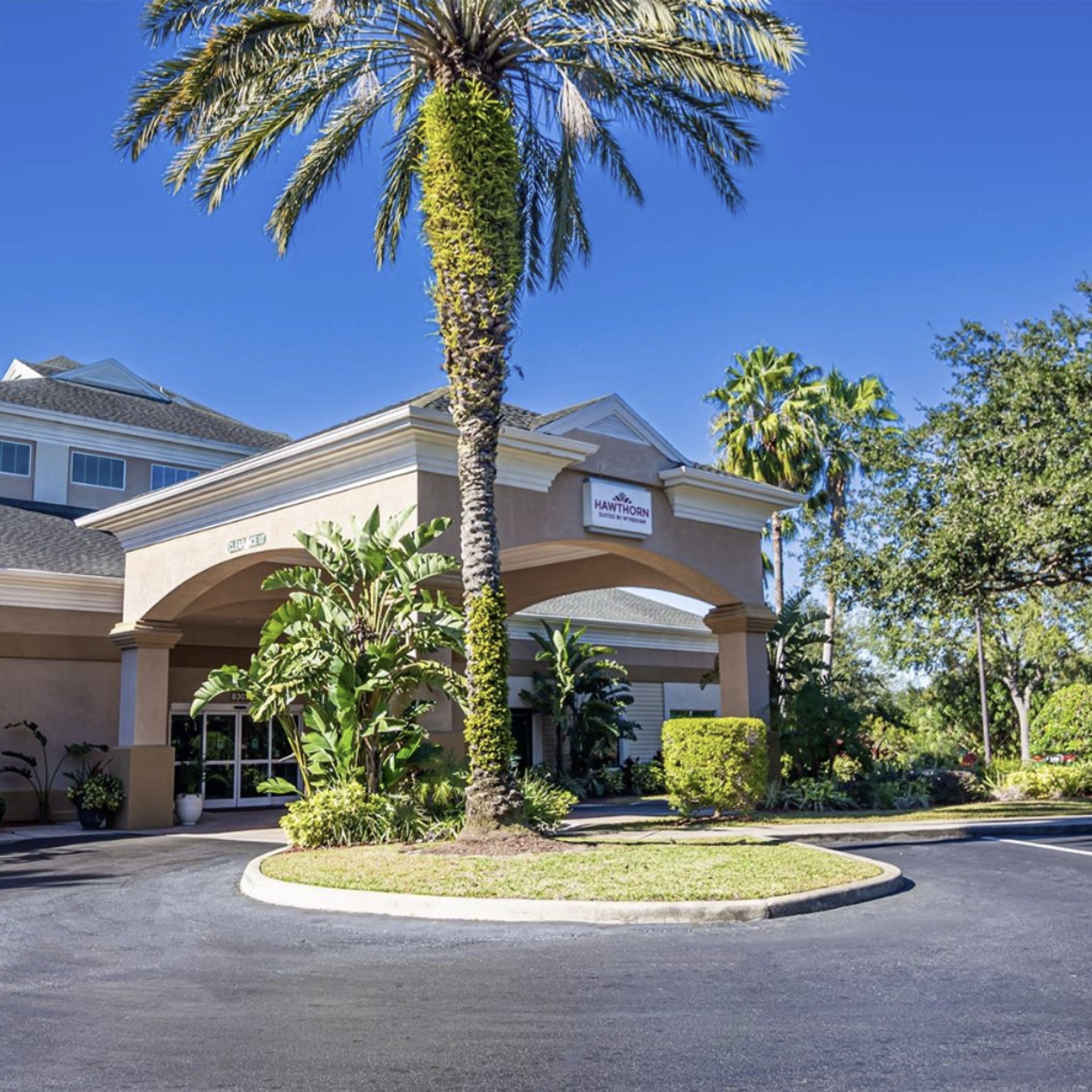 A hotel entrance with a palm tree, a covered walkway, and a sign reading "HAWTHORN SUITES BY THE BEACH."