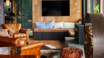 TV, fireplace, stereo