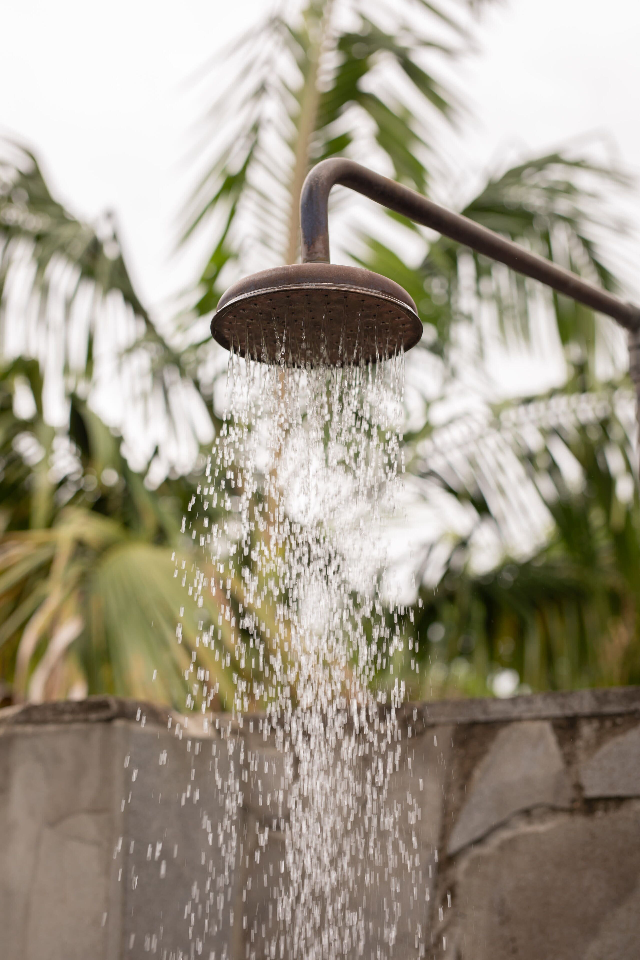 Un pommeau de douche d’où jaillit de l’eau.