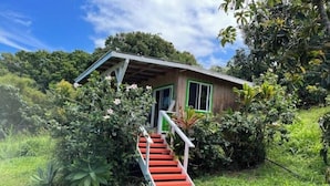 Ein kleines Haus mit einer roten Treppe, die zu einer grünen Tür führt, umgeben von üppiger Vegetation.