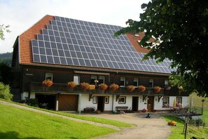 Esterni