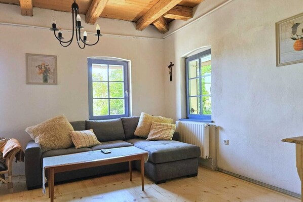 Smart TV, fireplace, DVD player, books