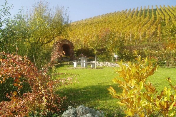 Jardines del alojamiento
