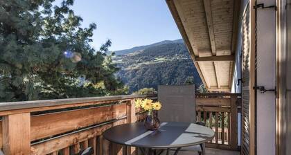 Mittermoarhof Comfortable holiday residence