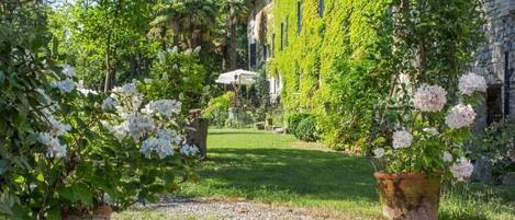 Terrein van de accommodatie