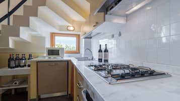 Classic Apartment, Balcony, Hill View | Private kitchen | Fridge, microwave, oven, stovetop