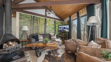 TV, fireplace, offices