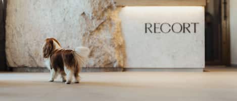Recepción